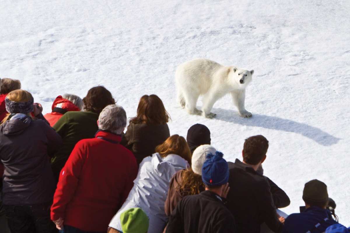 Arctic Family Bucket List Destination.jpg