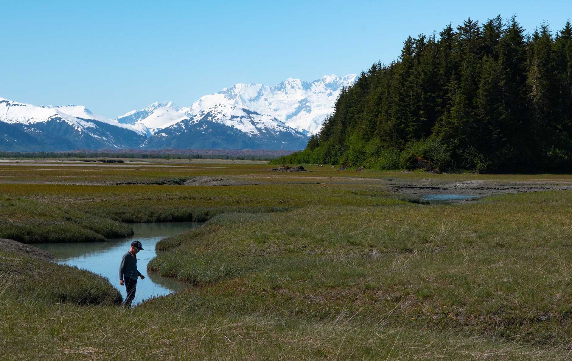 hiker on salt marsh