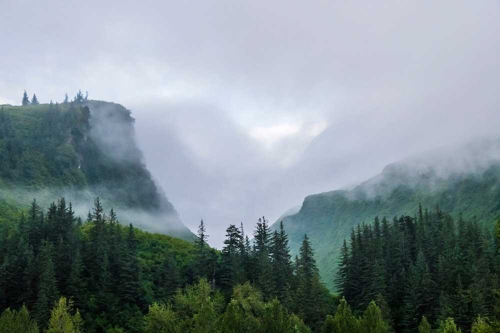 Chugach National Forest.jpg